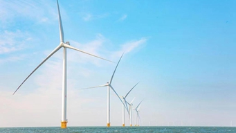 我国首个“海上风电+海洋牧场”上网电量将超10亿千瓦时