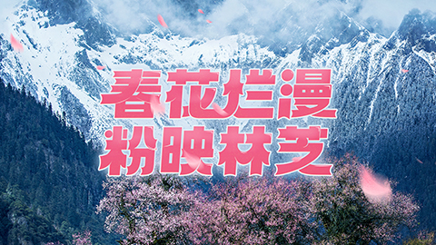 央视网_世界就在眼前