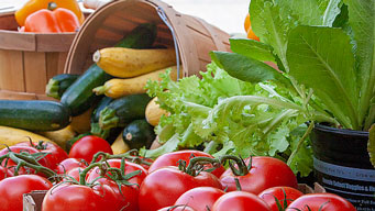 前三季度农业农村经济运行总体平稳