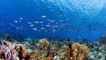 专家学者建言“十五五”海洋经济可持续发展