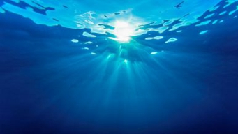 刘小明在海南省海洋厅调研海洋强省建设工作