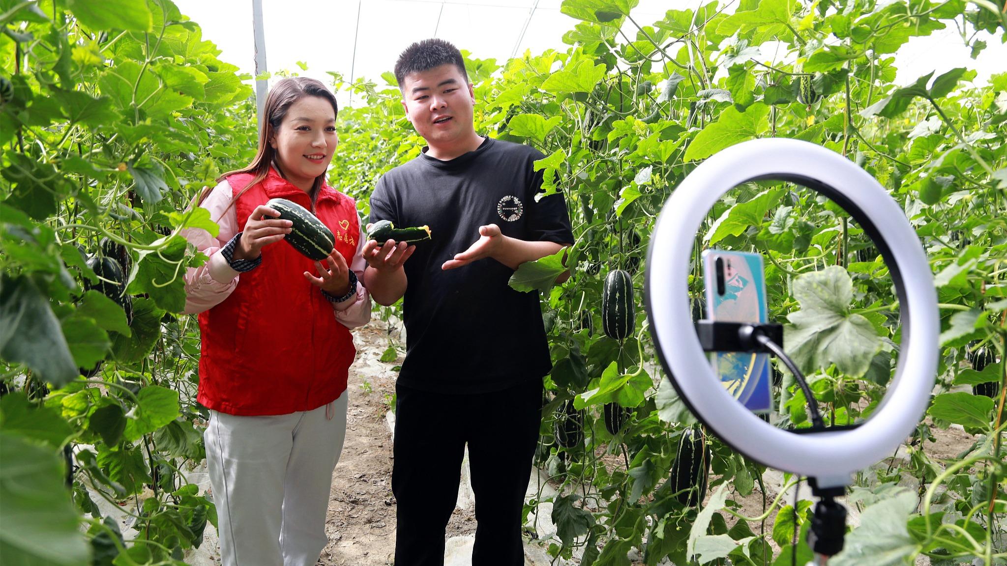 科技种植打造新鲜“果盘子” 新技术“套”