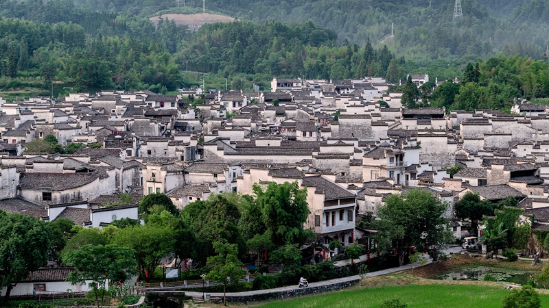 观大潮游古村 假期“奔县”解锁小城慢时光