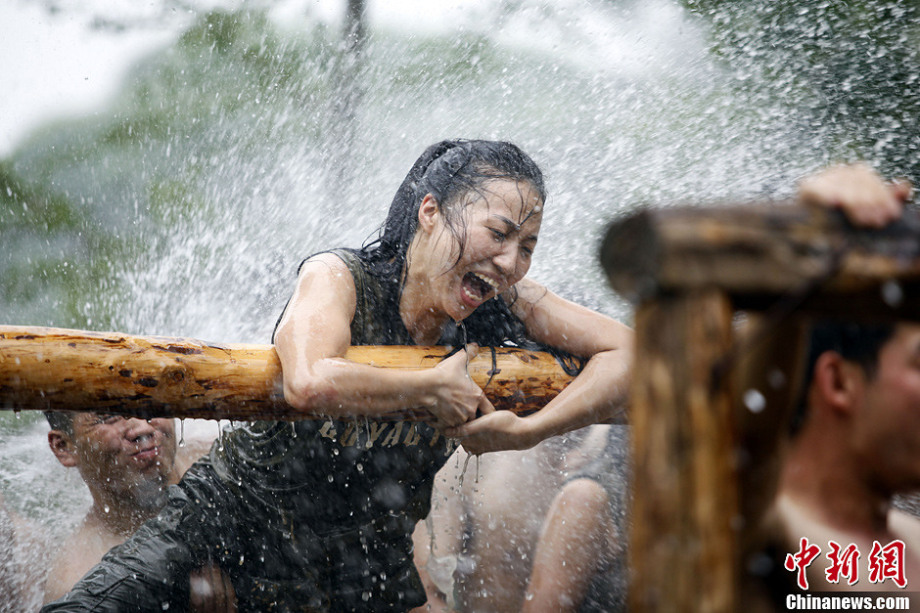 央视网新闻官方微信