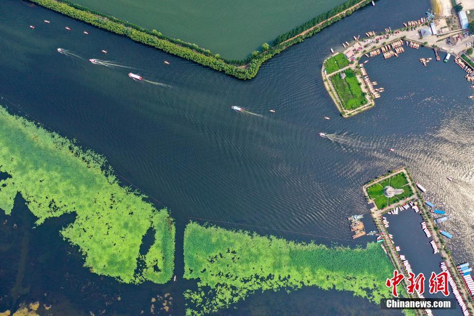 航拍华北明珠白洋淀