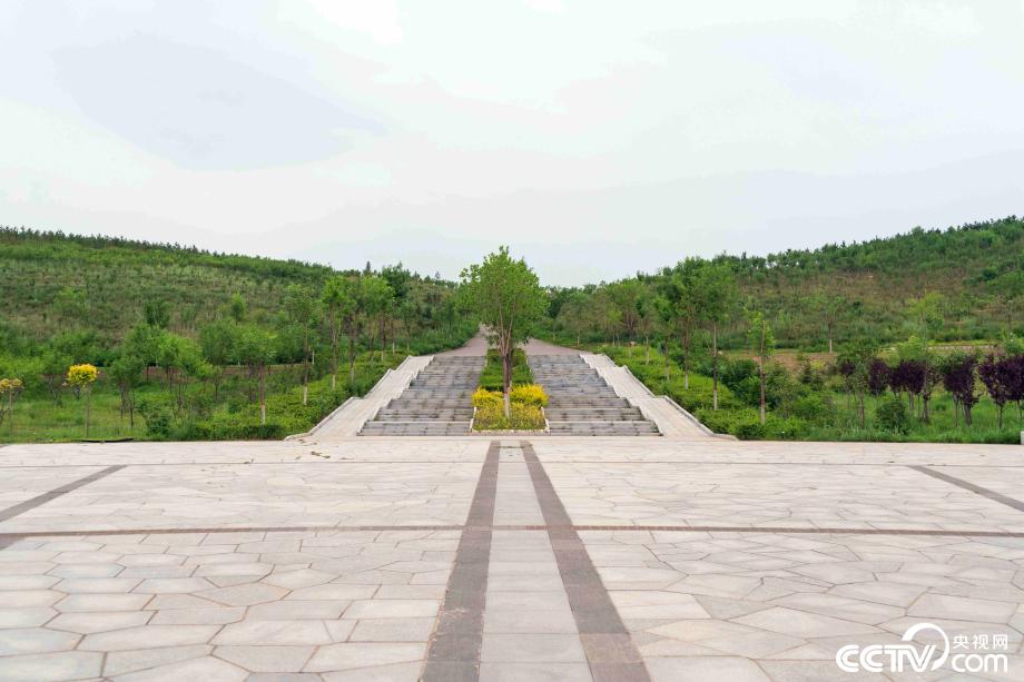 【新时代·幸福美丽新边疆】咬定“青山”不放松 感受青城绿色