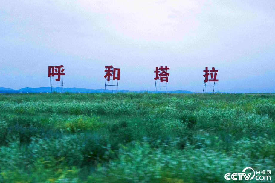 【新时代·幸福美丽新边疆】咬定“青山”不放松 感受青城绿色