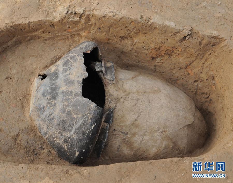 郑州考古实证5000多年前中国先民已育蚕制丝