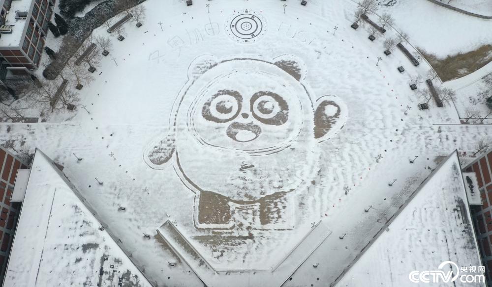 天津学生创作巨幅雪画“冰墩墩”