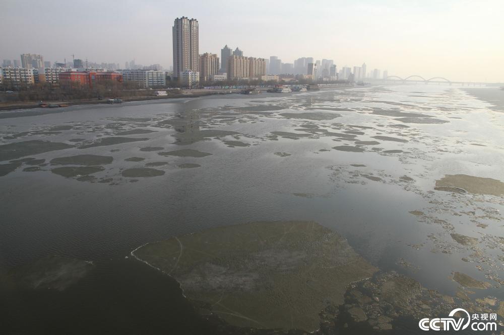 哈尔滨松花江出现跑冰排景观