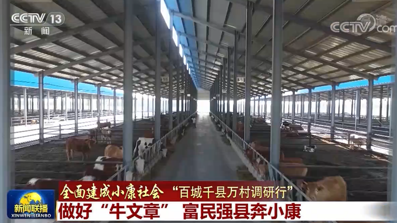 【全面建成小康社会“百城千县万村调研行”】做好“牛文章” 富民强县奔小康