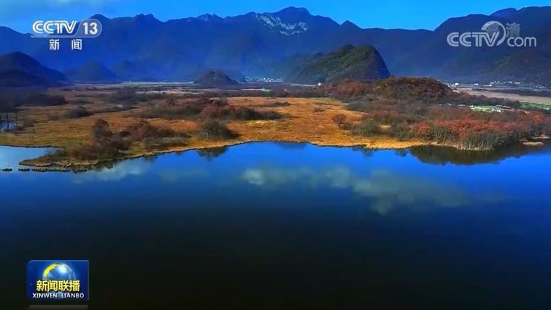共同构建地球生命共同体——习近平主席在《生物多样性公约》第十五次缔约方大会领导人峰会上的主旨讲话引发热烈反响