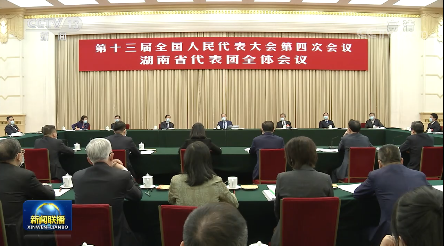 王岐山参加湖南代表团审议