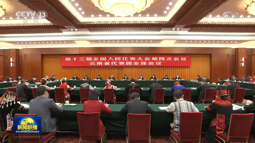王沪宁参加云南代表团审议