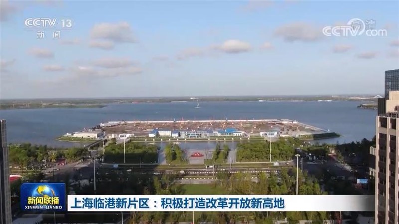 【在习近平新时代中国特色社会主义思想指引下】上海临港新片区：积极打造改革开放新高地