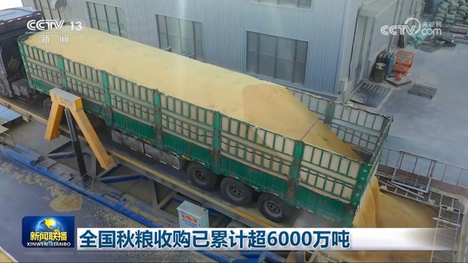 全国秋粮收购已累计超6000万吨