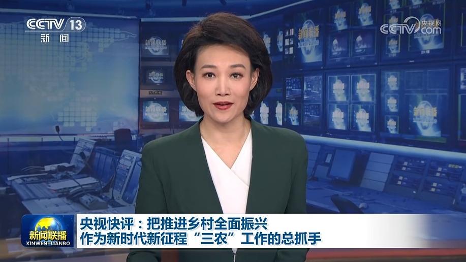 央视快评：把推进乡村全面振兴作为新时代新征程“三农”工作的总抓手