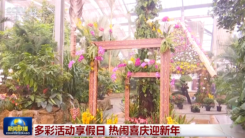 多彩活动享假日 热闹喜庆迎新年