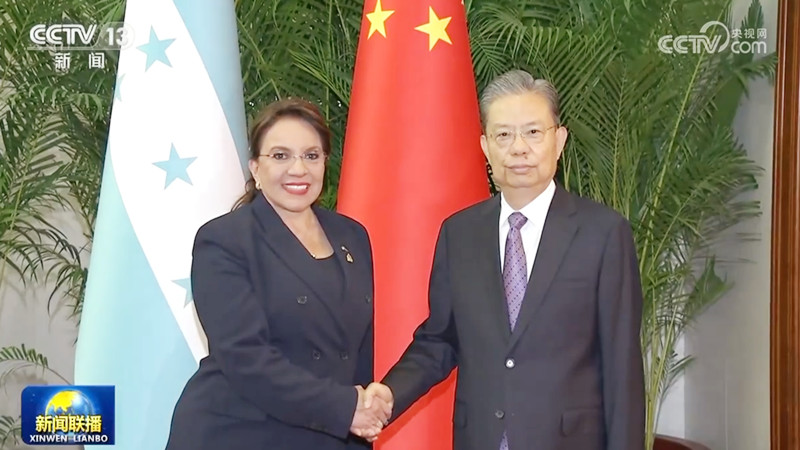 赵乐际会见洪都拉斯总统