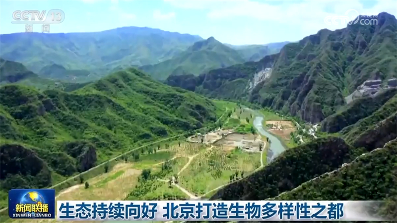 生态持续向好 北京打造生物多样性之都