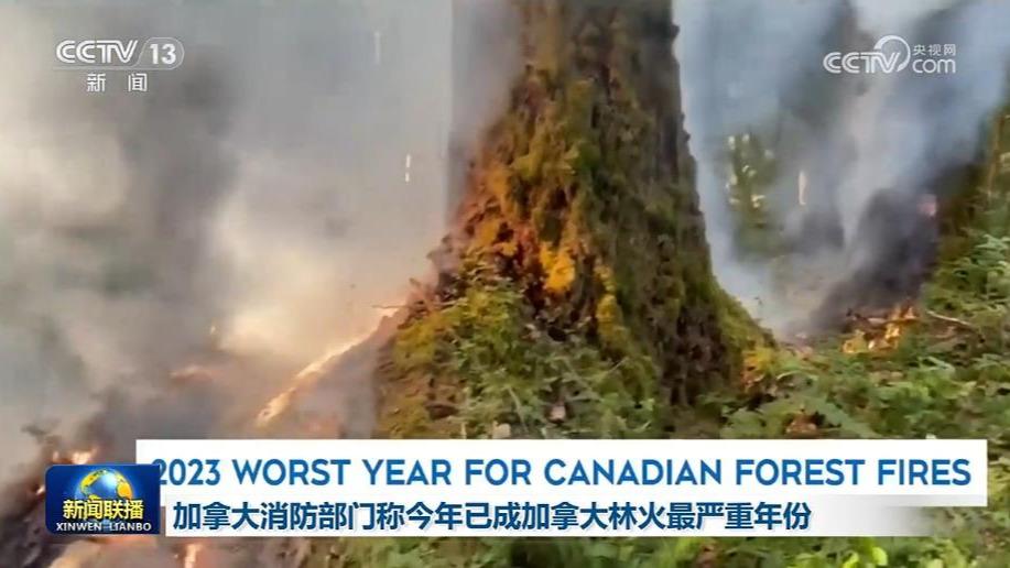 加拿大消防部门称今年已成加拿大林火最严重年份