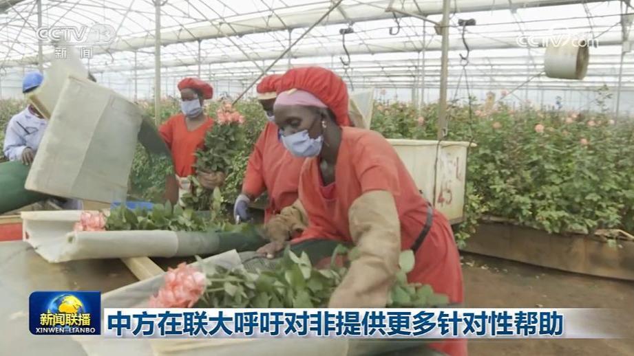 中方在联大呼吁对非提供更多针对性帮助