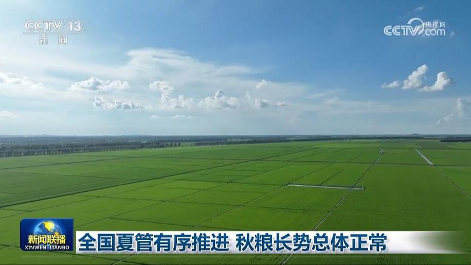 全国夏管有序推进 秋粮长势总体正常