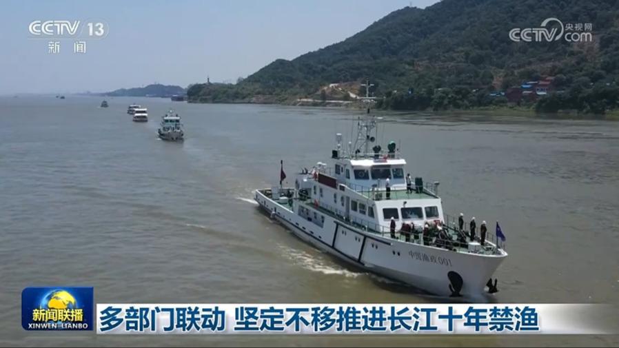 [视频]多部门联动 坚定不移推进长江十年禁渔