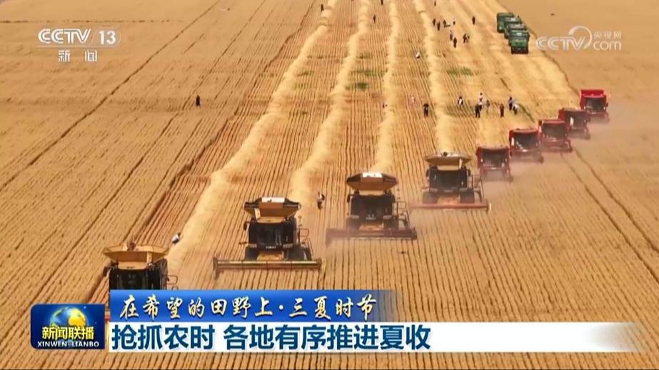 【在希望的田野上·三夏时节】抢抓农时 各地有序推进夏收