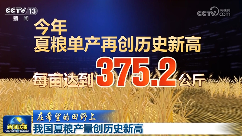 【在希望的田野上】我国夏粮产量创历史新高