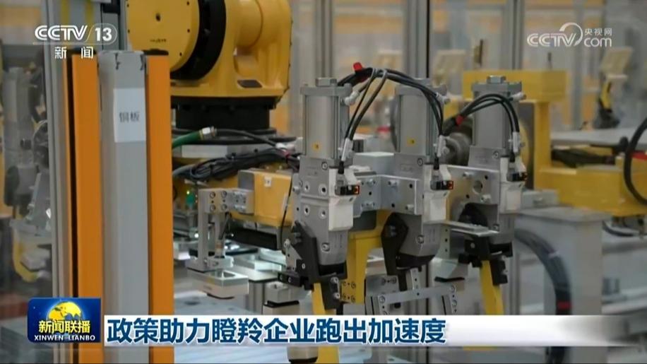 政策助力瞪羚企业跑出加速度