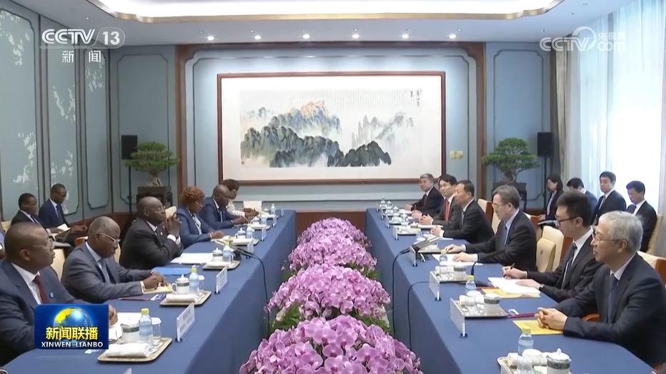 丁薛祥会见科特迪瓦副总统