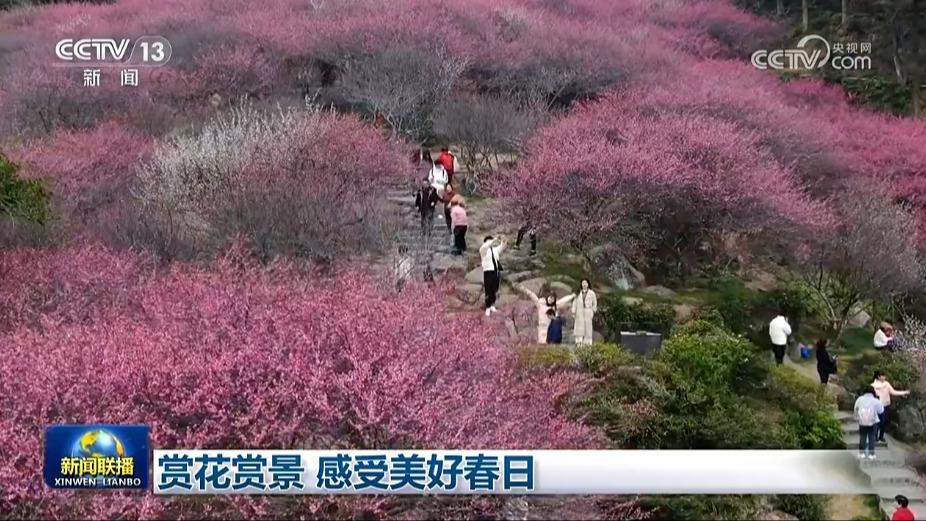 赏花赏景 感受美好春日
