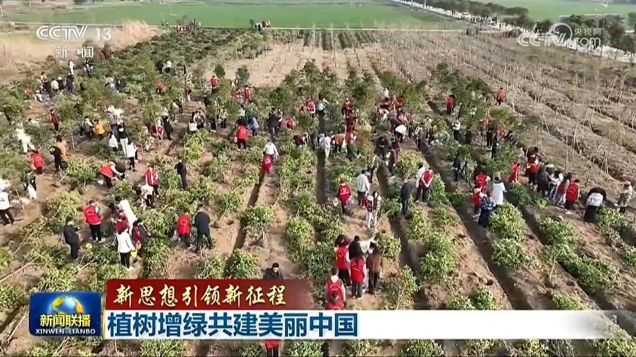 【新思想引领新征程】植树增绿共建美丽中国