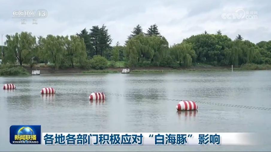 各地各部门积极应对“白海豚”影响