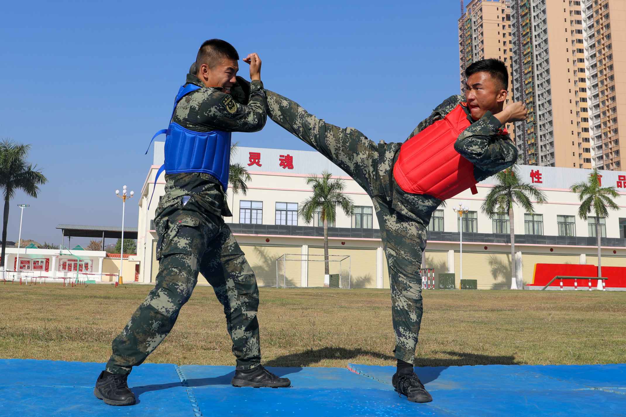中国武警格斗拳图片