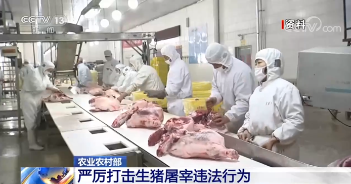 农业农村部：保障元旦、春节两节期间猪肉消费安全