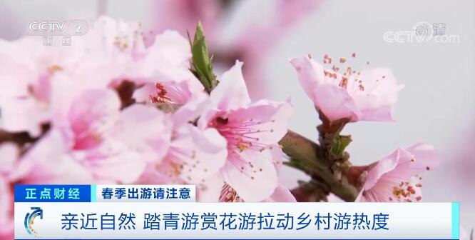 今年春天“赏花经济”成亮点 旅游业提振消费信心