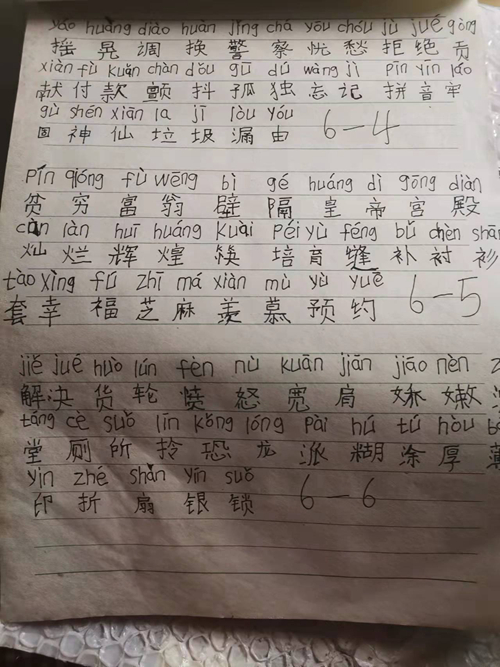 Wang Meiyu's homework when she first started learning Chinese characters.