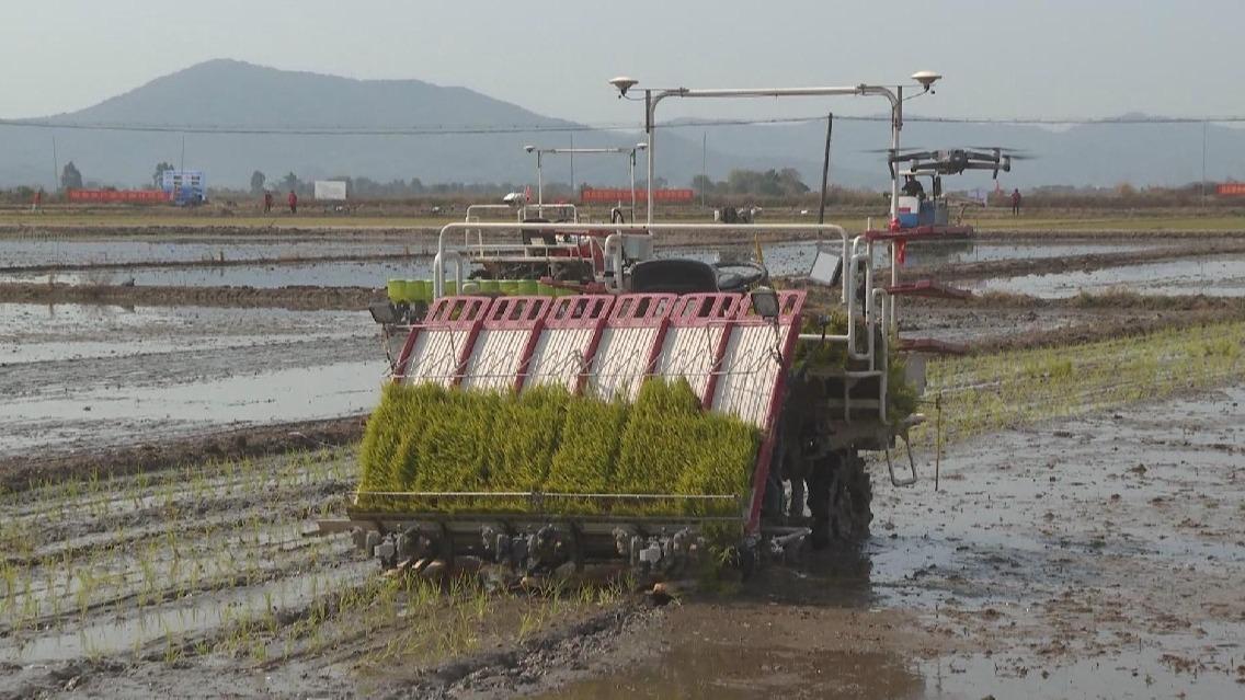 Smart farming system empowers agriculture, facilitates spring plowing in South China