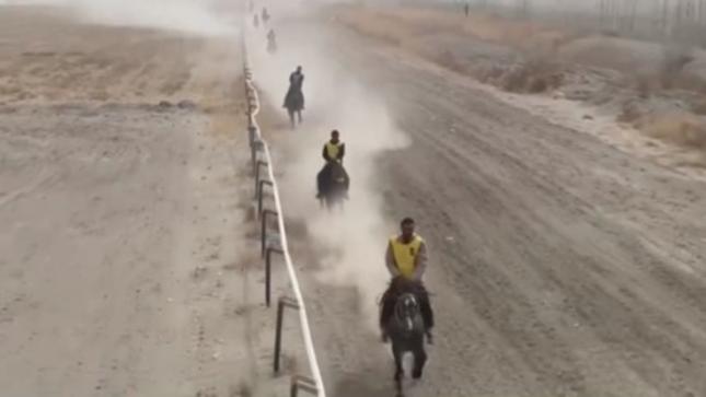 Exotic horse racing attracts tourists to NW China's Xinjiang