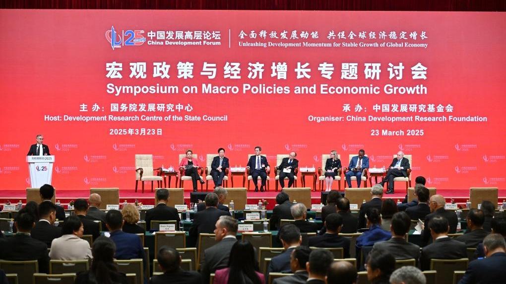 Multinational CEOs flock to China for business opportunities