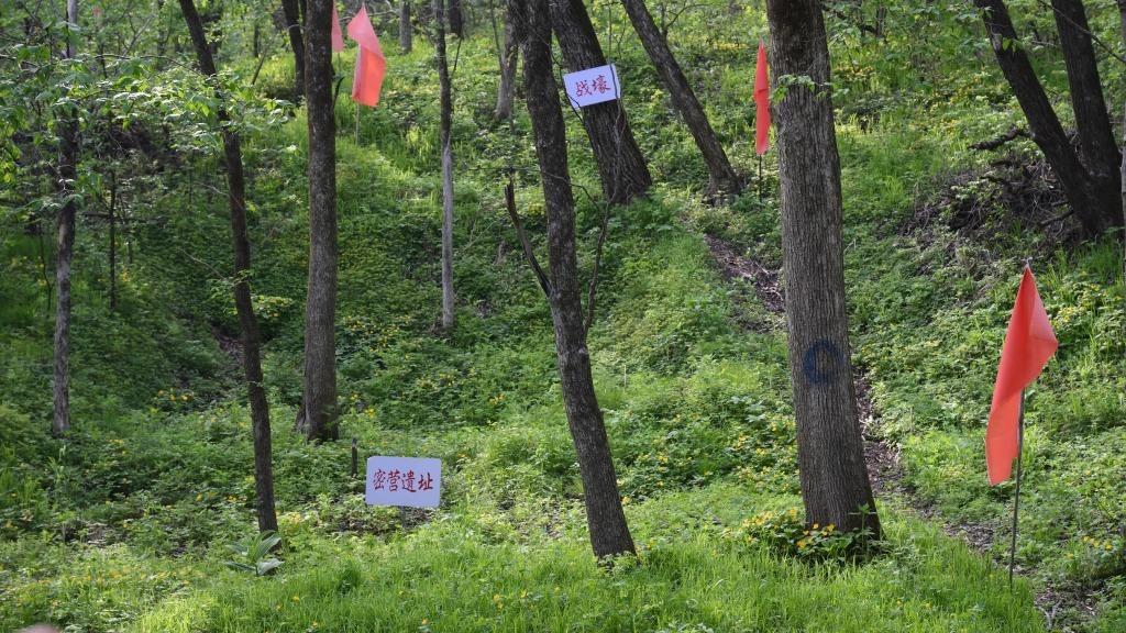 探秘鸡冠山东北抗联密营遗址：深林中的“红色堡垒”