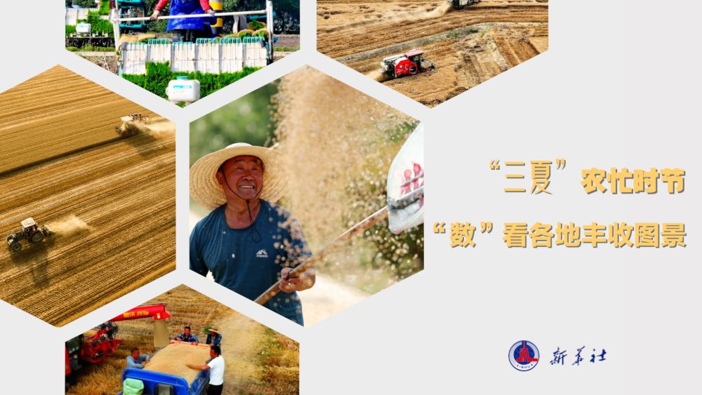 “三夏”农忙时节 “数”看各地丰收图景