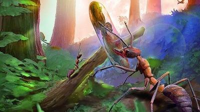 线虫草起源时间向前推进约3000万年