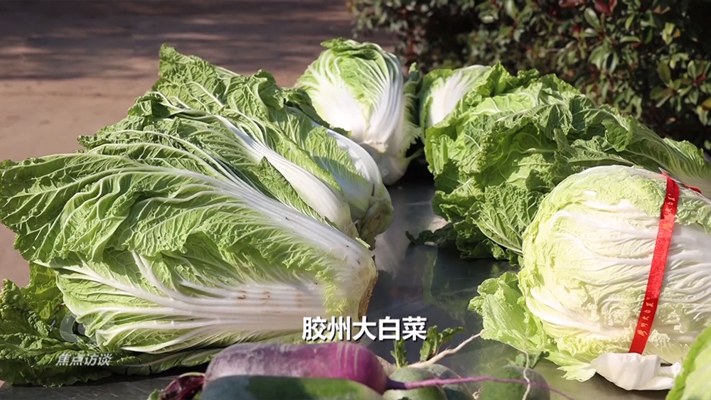 《焦点访谈》 20251126 套牌的白菜 卖家的套路