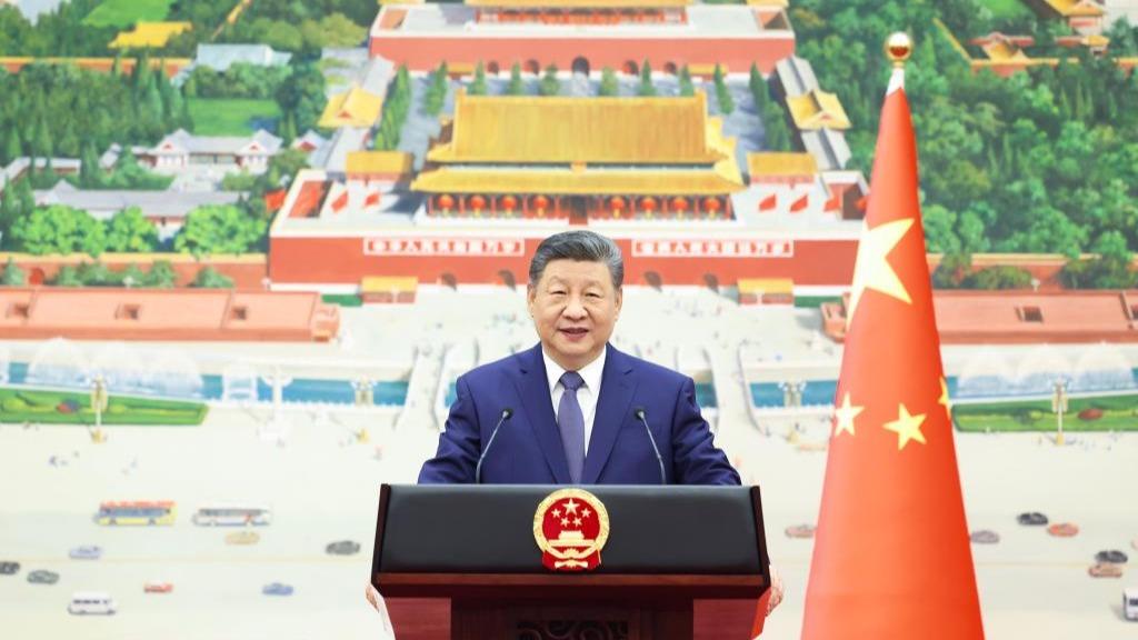 Xi receives credentials of new ambassadors to China