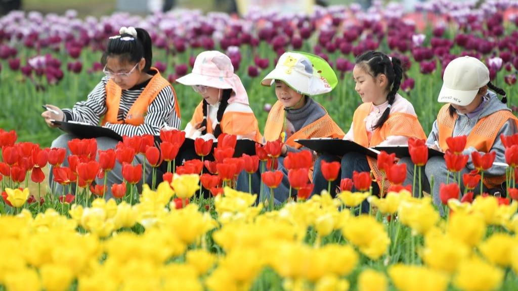 Primary, secondary school students in several regions across China enjoy their first-ever spring break