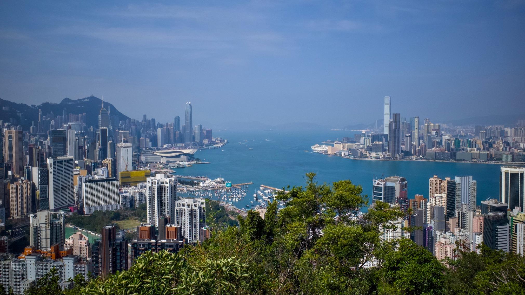 上半年粤港澳大湾区内地9市进出口值同比增