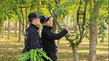 万羽平安 北京警方全力守护候鸟迁徙安全
